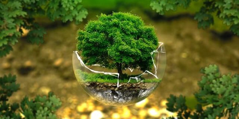 environmental-protection-326923_640 environmental-protection-326923_640